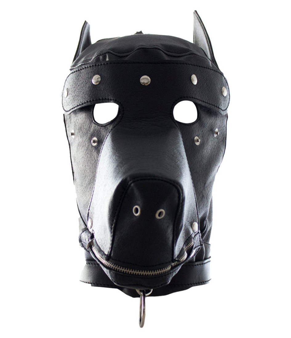 Bound to Please Dog Mask
